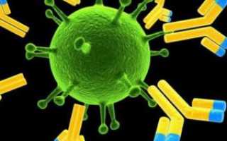 Авидность антител к цитомегаловирусу: о понятии и об индексах