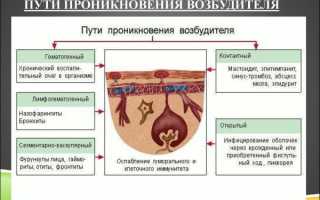 Менингококковый менингит: симптомы и способы лечения