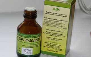 Хлорофиллипт от насморка как применять, отзывы, побочные эффекты