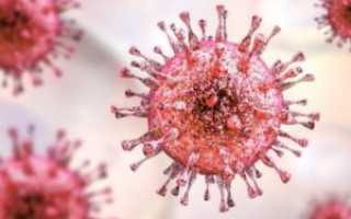 Цитомегаловирусный гепатит (ЦМВ) приобретенной и врожденной форм