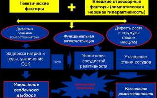 Особенности применения Престариум А (5 и 10 мг) по инструкции и отзывам