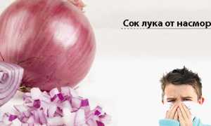 Сок лука от насморка рецепты, как использовать детям и взрослым