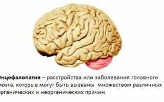 Энцефалопатия головного мозга — что это за болезнь