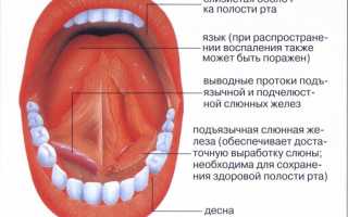 Болит под языком – время бить тревогу