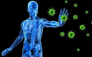 Как обеспечить укрепление иммунитета у взрослого человека