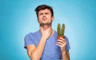 Какие могут быть причины, если начинает болеть горло и что необходимо делать